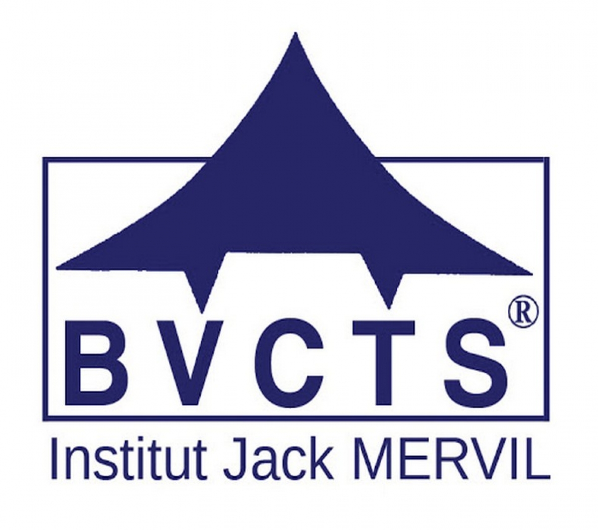BVCTS INSTITUT JACK MERVIL